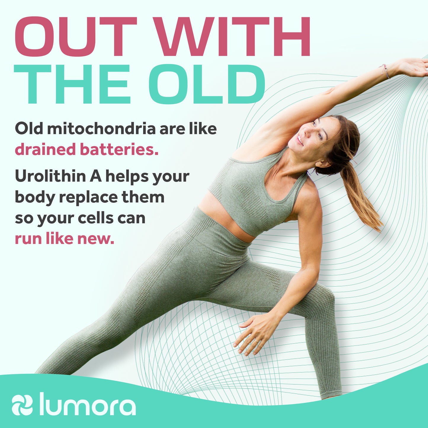 Urolithin A - 500mg Capsules