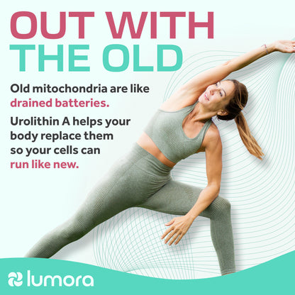 Urolithin A - 500mg Capsules