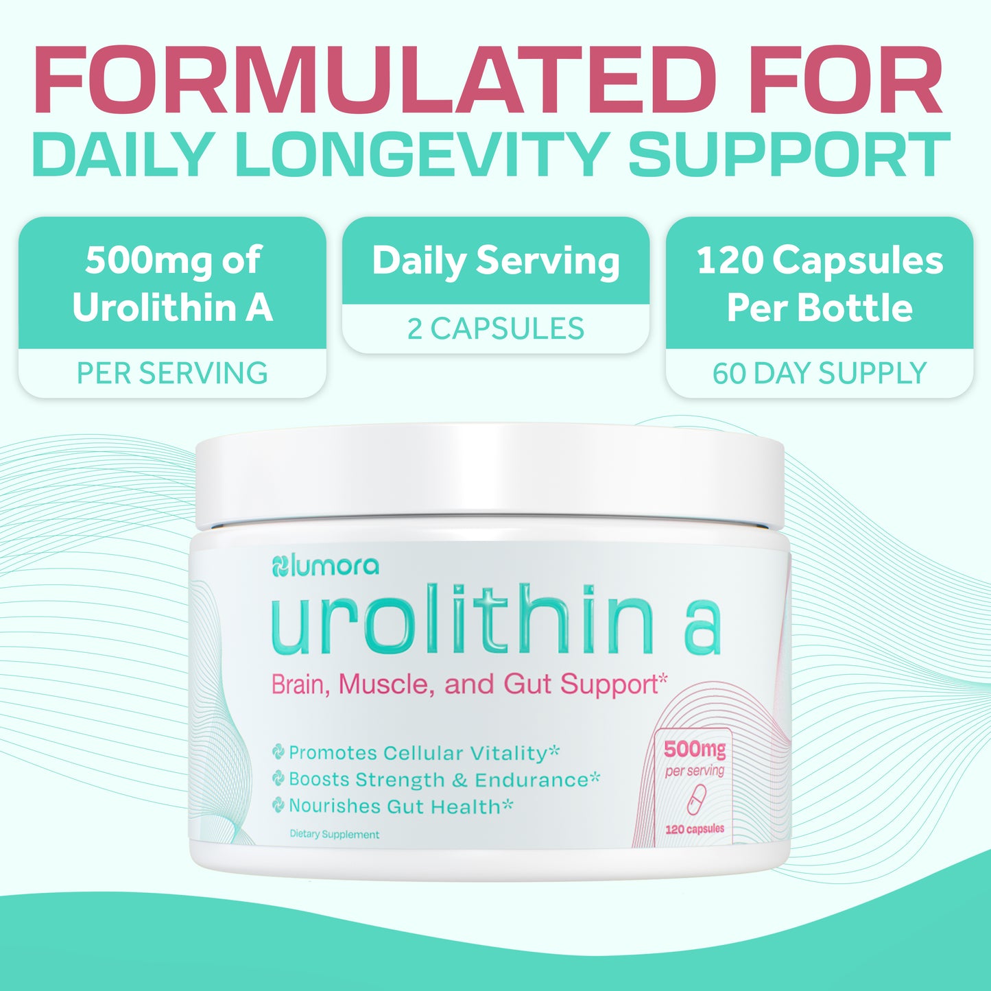 Urolithin A - 500mg Capsules